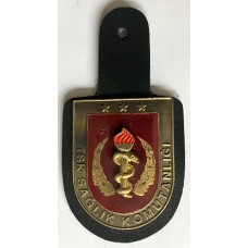 Army Medical Command pocket fob badge 