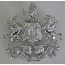 Exeter City Police helmet plate 