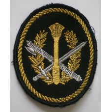 Russian Prison Guards Central Office unit patch 