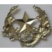 The Cameronians (Scottish Rifles) cap badge 