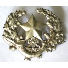 The Cameronians (Scottish Rifles) cap badge 