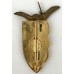 9th Chasseurs Parachutist Regiment unit badge