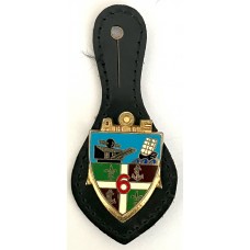 6th Colonial Artillery Regiment veterans badge
