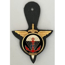 6th Marine Infantry Parachute Regiment unit badge