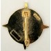Medical Surgical Group Mostar unit badge
