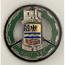 151st Transport Training Center unit badge
