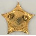 Transkei Police officer's cap badge