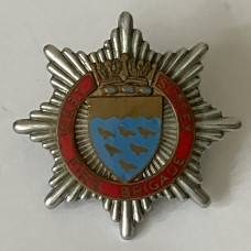 West Sussex Fire Brigade cap badge 