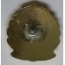 Chinese Police cap badge 