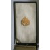 Austrian Cross of Merit in silver with crown, in box of issue. 