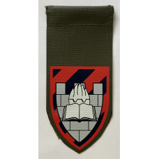 Israeli Army Confinement Base 396 unit tag